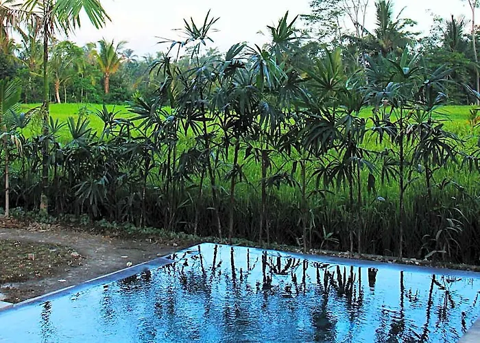 Hotel Kemuning Tegallalang (Bali)