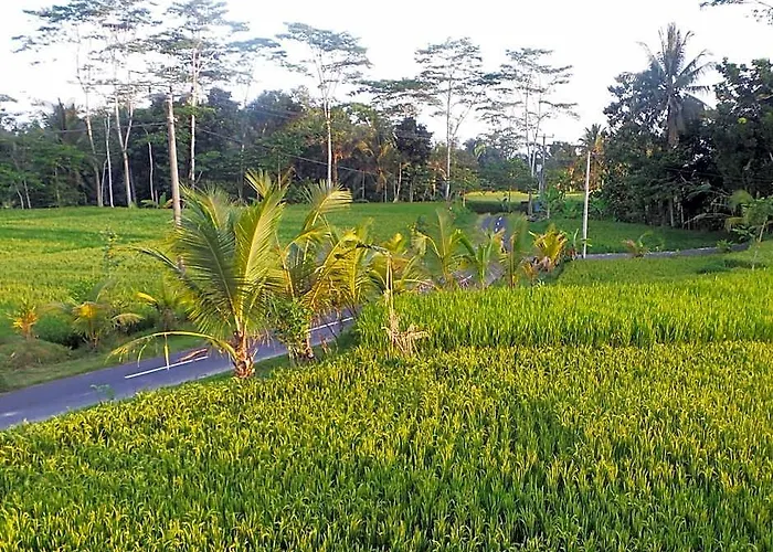 Hotel Kemuning Tegallalang (Bali)