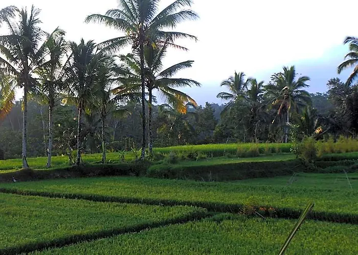Hotel Kemuning 4*