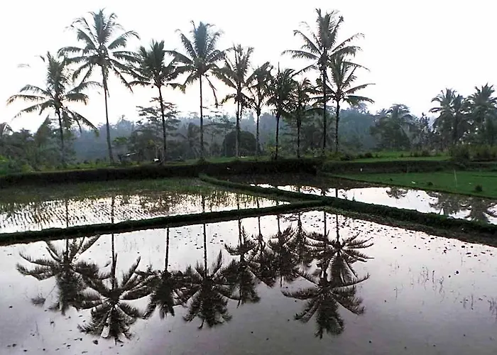 Kemuning