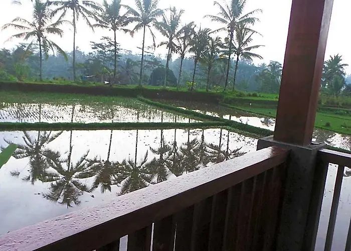 Kemuning