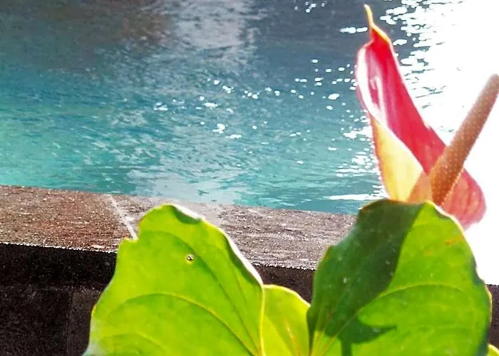Kemuning 4* Tegallalang (Bali)
